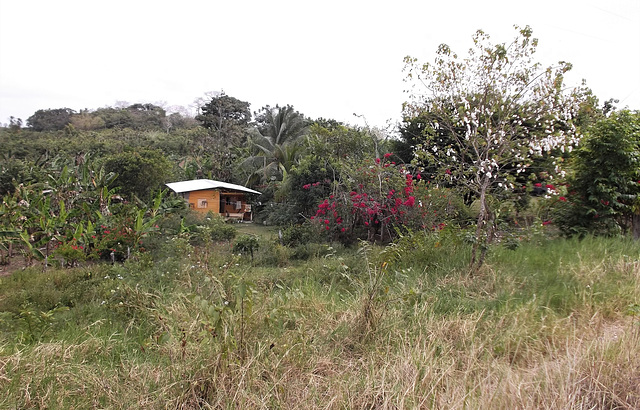 Maison Panaméenne / Panamanian house