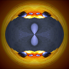 De vogel werd een cirkel De vogel werd een cirkel