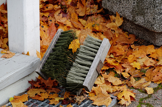 Brosse à chaussures