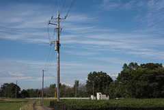 Utility pole