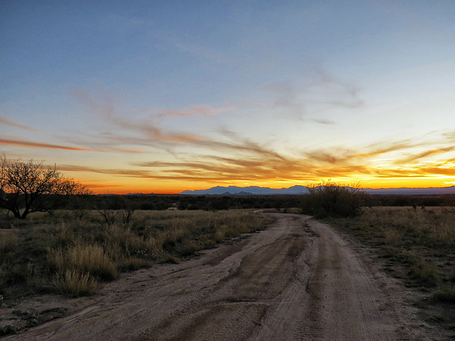 The Road Out