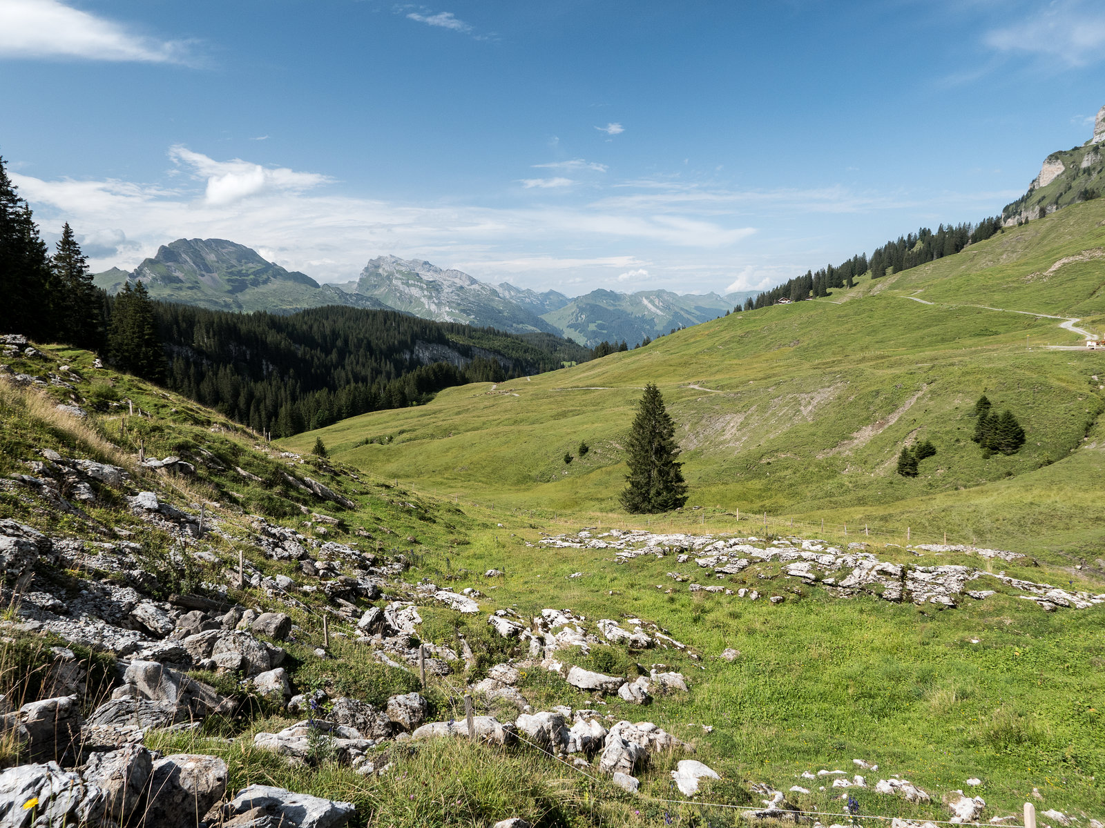 Muotathal - Pragelpass