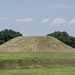 Winterville mound (1)