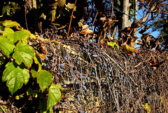 fall fence