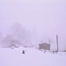 VÖ0000288