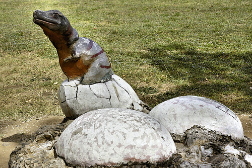The Eggs Are in the Dairy Section – Parque Mega-Fauna Monteverde, Monteverde, Puntarenas Province, Costa Rica