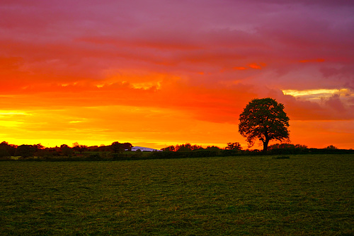 Gnosall sunset