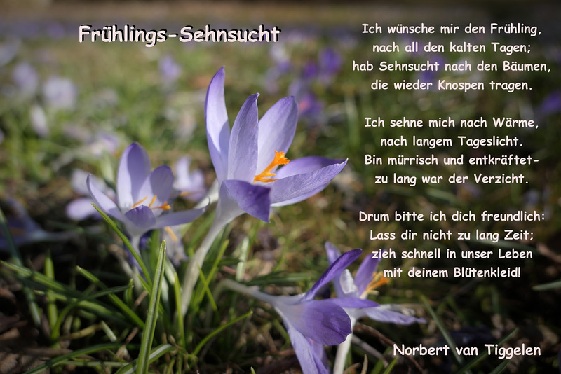 Frühlings-Sehnsucht