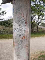 Arrêt de bus (2) du Panama / Tags