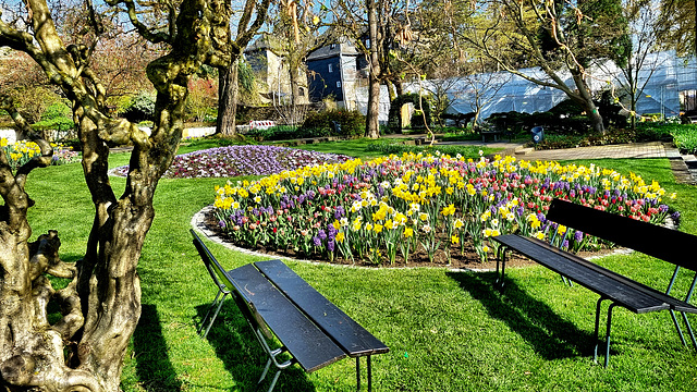 Frühling am Oberen Schloß, HBM