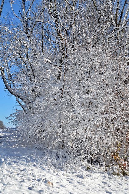 Winterzauber in Le Noirmont