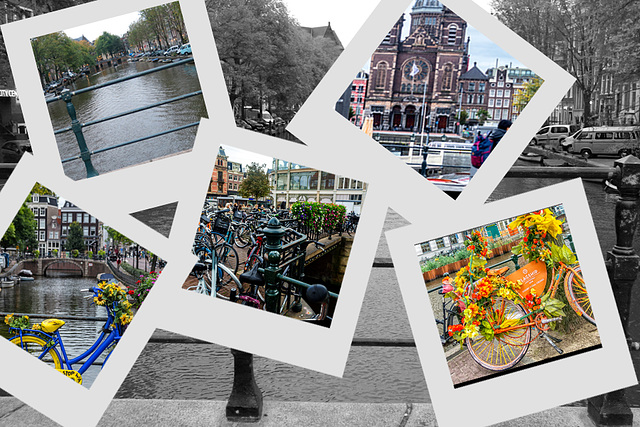 Amsterdam fences