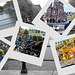 Amsterdam fences