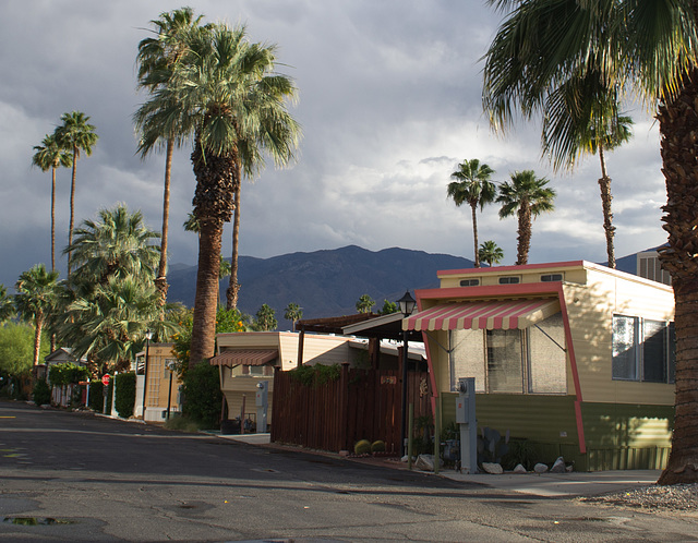 Palm Springs - May rain (#0739)