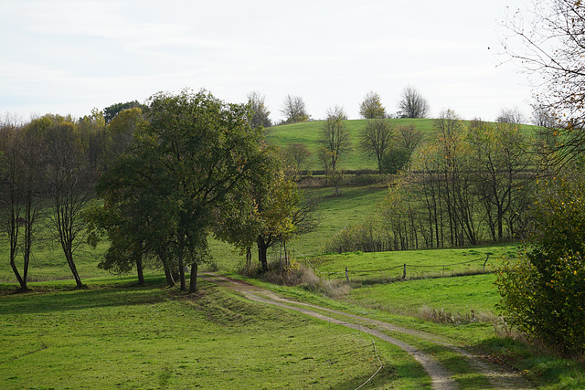 Weg am Krücker