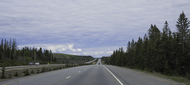 unterwegs auf dem Highway 11 (© Buelipix)