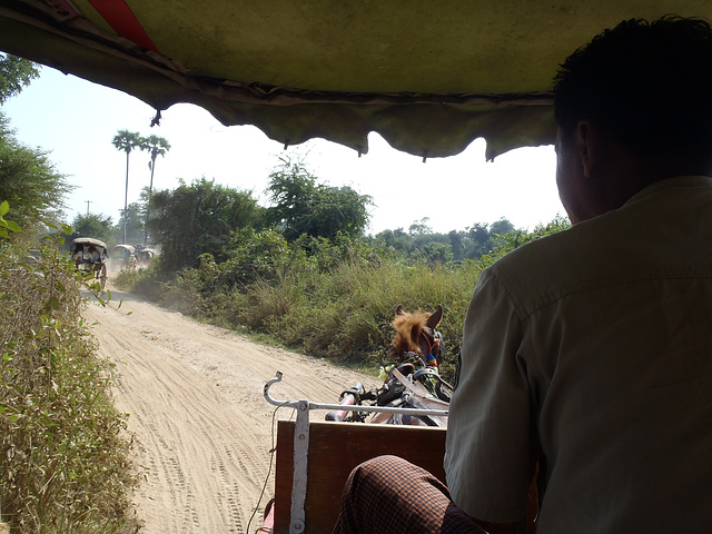 touring by horse and cart