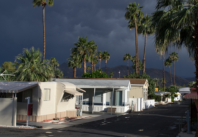Palm Springs - May rain (#0740)