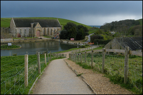 path to the swannery