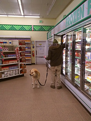 An old dog goes shopping