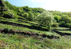 DE - Altenahr - Langfigtal