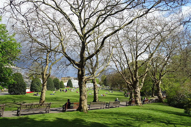 Glasgow Botanic Gardens