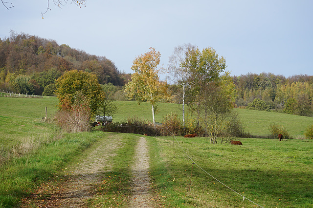 Weg am Krücker II