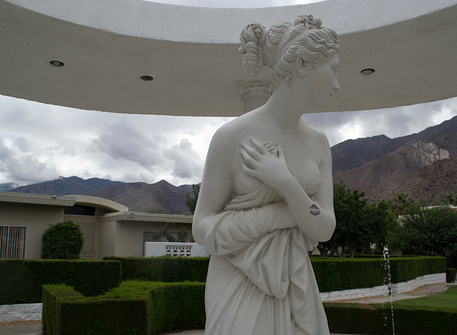 Palm Springs kiss with guano  (0134)