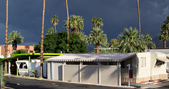 Palm Springs - May rain (#0741)