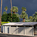 Palm Springs - May rain (#0741)