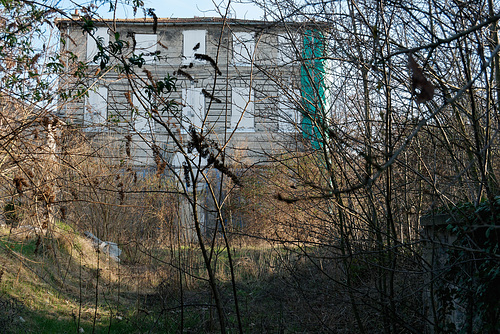 La belle abandonnée