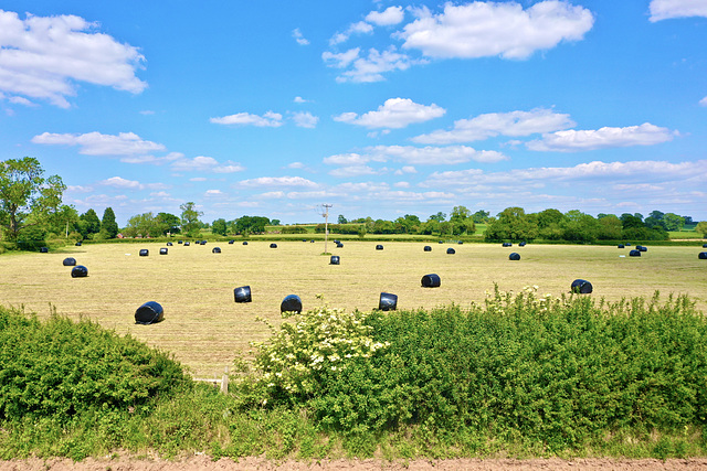 Gnosall fields