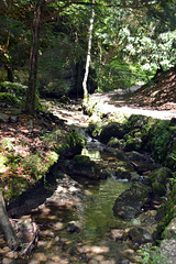 Bachlauf, Wasser, Steine, genau das richtige um Kindern beim Wandern etwas Abwechslung zu bieten ( kleiner Abenteuerspielplatz )