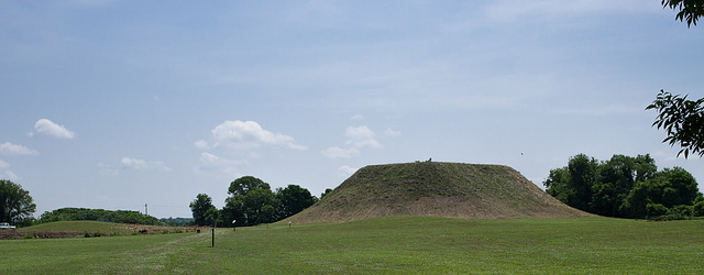 Winterville mounds (8)