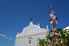 Alcea rosea, Tavira, Ermida de São Lázaro ou de Nossa Senhora do Livramento