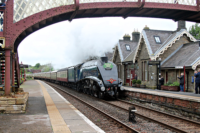 Gresley LNER class A4 60007 SIR NIGEL GRESLEY passing through Kirkby Stephen with 1Z98 15.08 Carlisle - Crewe The Settle & Carlisle Fellsman 23th May 2024.