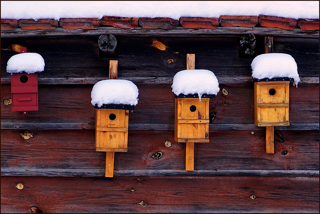 Ich wünsche euch einen friedlichen 4. Advent