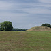 Winterville mounds (9)