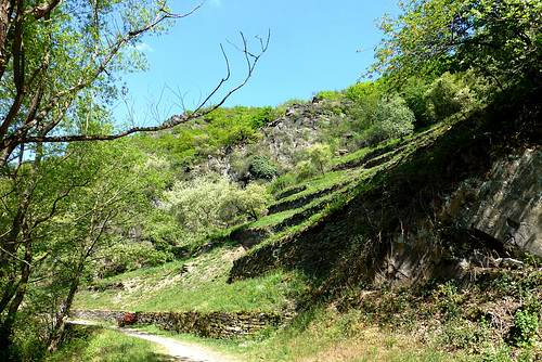 DE - Altenahr - Langfigtal