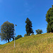 Thüringen Österreich Thüringen Österreich