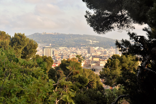 Blick vom Park Guell