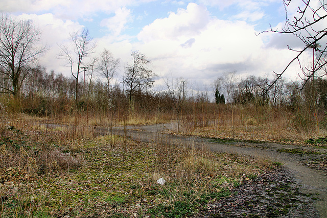 Verwilderter Parkplatz der Zeche Westerholt 1/2/3 (Herten-Westerholt) / 9.03.2019