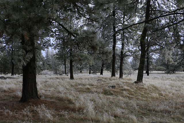 Malloy Prairie