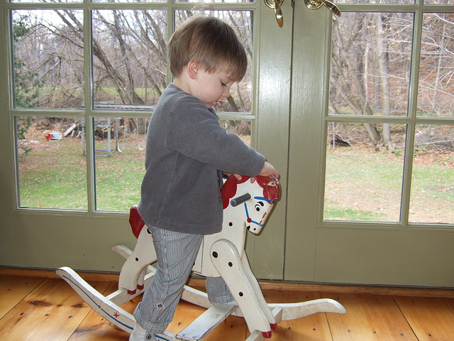 Sheppie Practises Riding