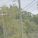 CL&P 22.9/13.2 kV Y pole