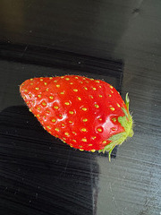 Première fraise