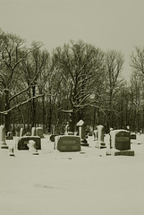 Cemetary In Winter