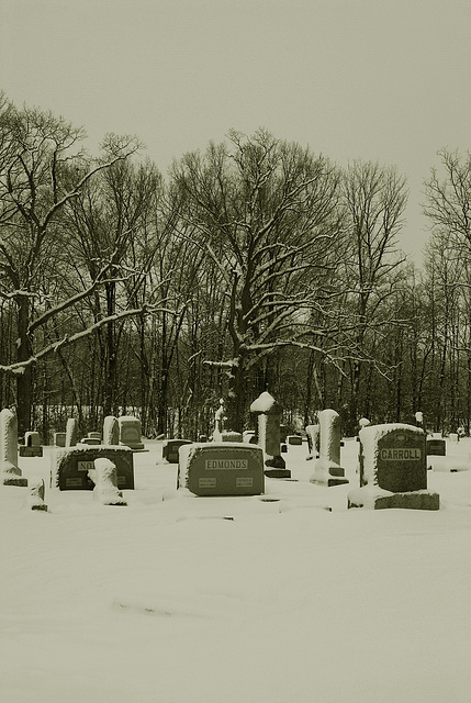 Cemetary In Winter