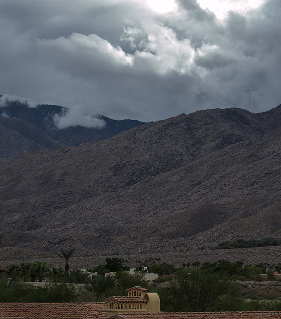 Palm Springs rain (0147)