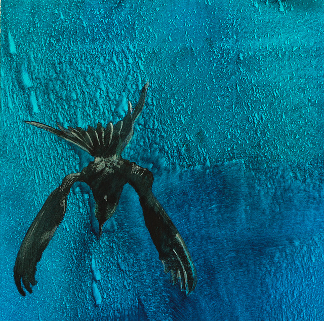 Libre